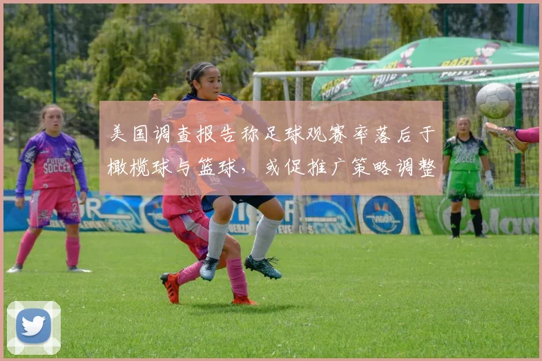 美国调查报告称足球观赛率落后于橄榄球与篮球，或促推广策略调整