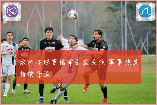 欧洲杯球赛倍率引发关注 赛事热度持续升温