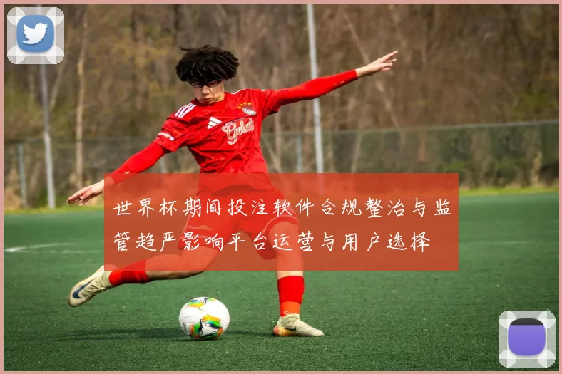 世界杯期间投注软件合规整治与监管趋严影响平台运营与用户选择