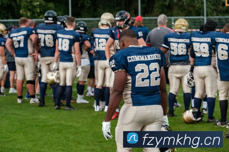 开云(中国)Kaiyun·官方网站 - 登录入口发展历程